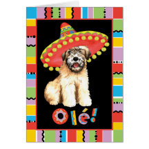 Wheaten hälsningkort för Fiesta