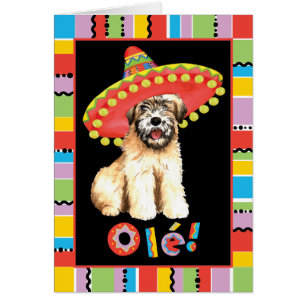 Wheaten hälsningkort för Fiesta Hälsningskort