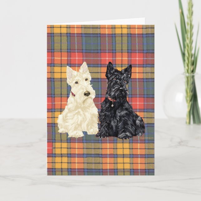 Wheaten och svarta skotska terrier kort (Framsida)