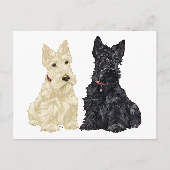 Wheaten och svarta skotska terrier vykort (Framsida)