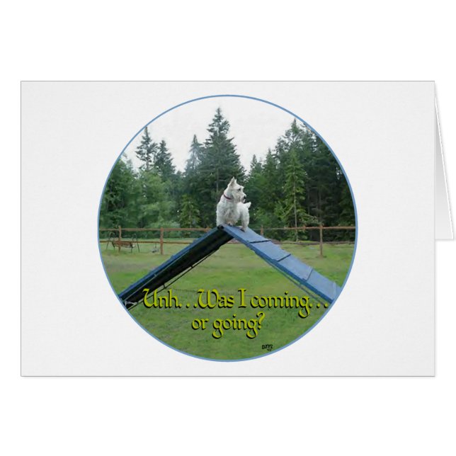 Wheaten Scottie Agililitet Hälsningskort (Framsidan Horizontal)