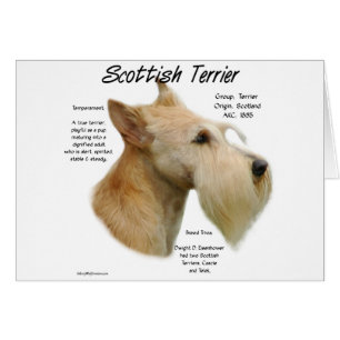 Wheaten Scottie History Hälsningskort
