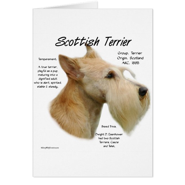 Wheaten Scottie History Hälsningskort (Framsidan)