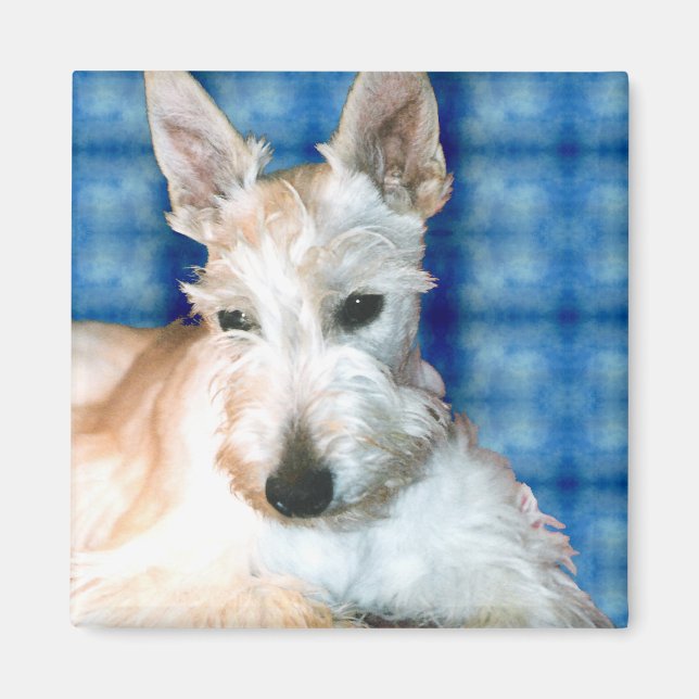 Wheaten Scottie Magnets Magnet (Framsidan)