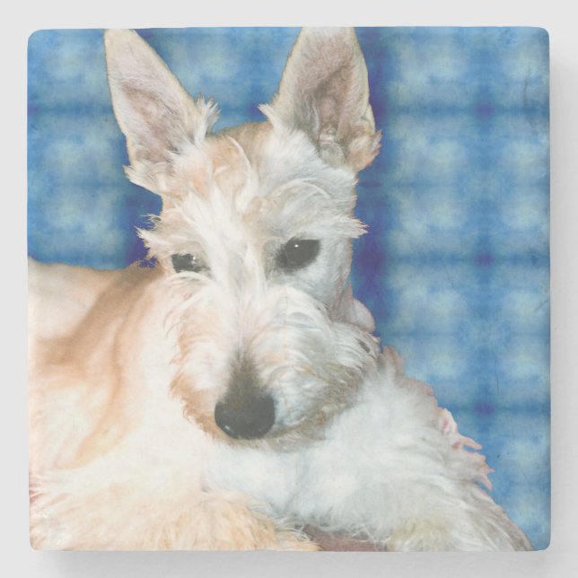 Wheaten Scottie Marble Coster Stenunderlägg (Framsidan)