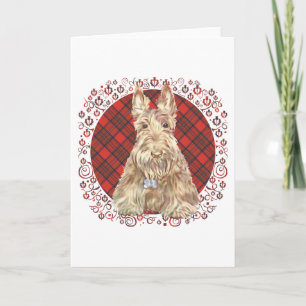 Wheaten Scottie-ruta Kort