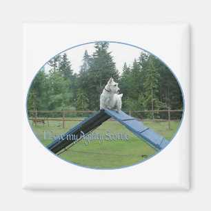 Wheaten Scottie Smidighet Magnet