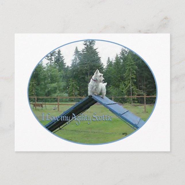 Wheaten Scottie Smidighet Vykort (Framsida)
