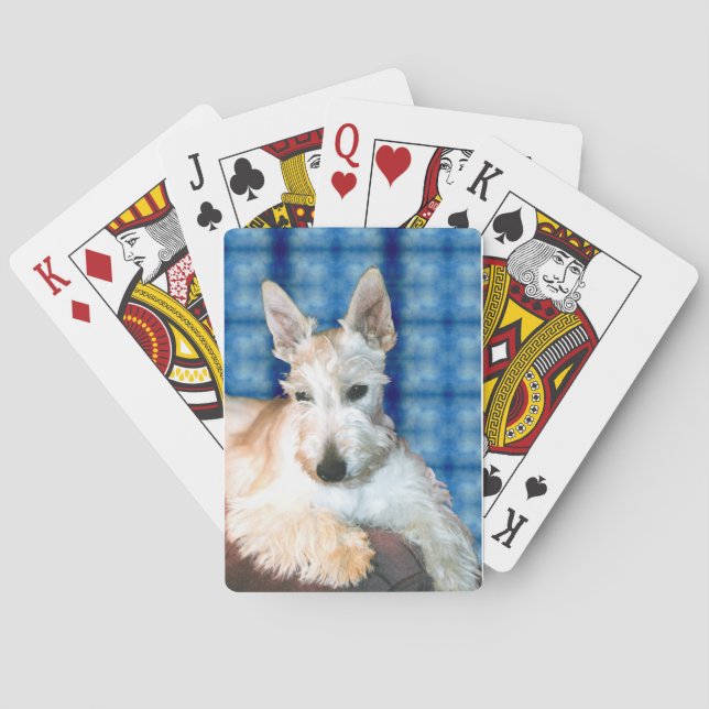 Wheaten Scottie Spelningskort Casinokort (Baksidan)