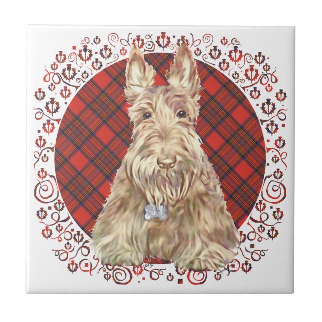 Wheaten Scottie Tartan Kakelplatta (Framsidan)