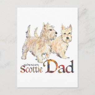 Wheaten Scotties firar fars dag Vykort