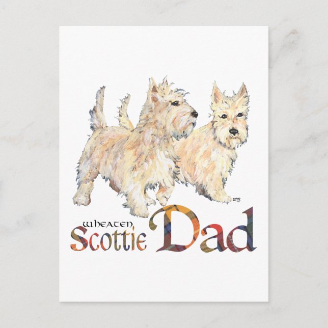 Wheaten Scotties firar fars dag Vykort (Framsida)