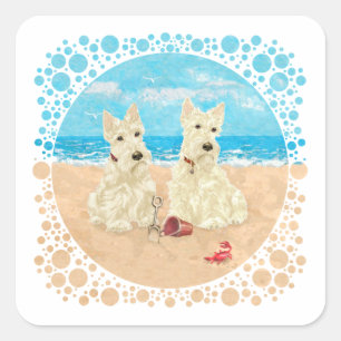 Wheaten Scotties på stranden Fyrkantigt Klistermärke
