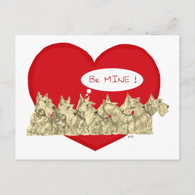 Wheaten Scotties Valentine Helg Vykort (Framsida)