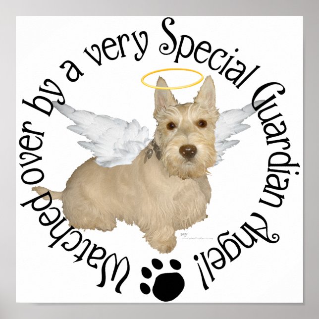 Wheaten Scottish Terrier Änglar Poster (Framsidan)