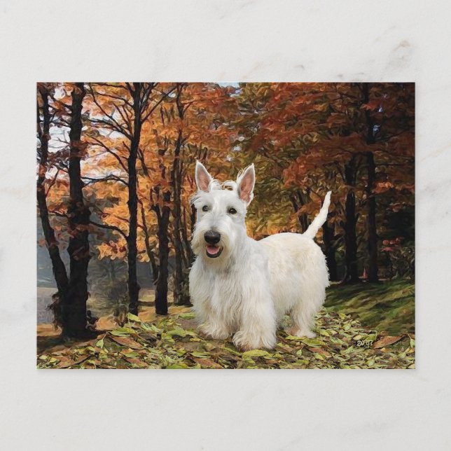 Wheaten Scottish Terrier Autumn Vykort (Framsida)