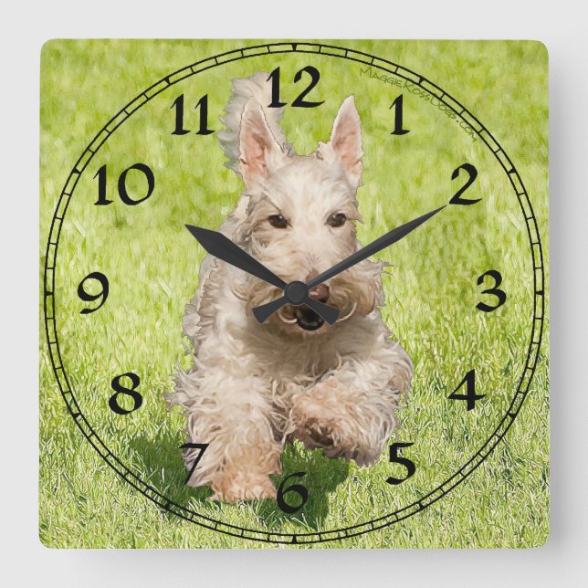 Wheaten Scottish Terrier Clock Fyrkantig Klocka (Framsida)