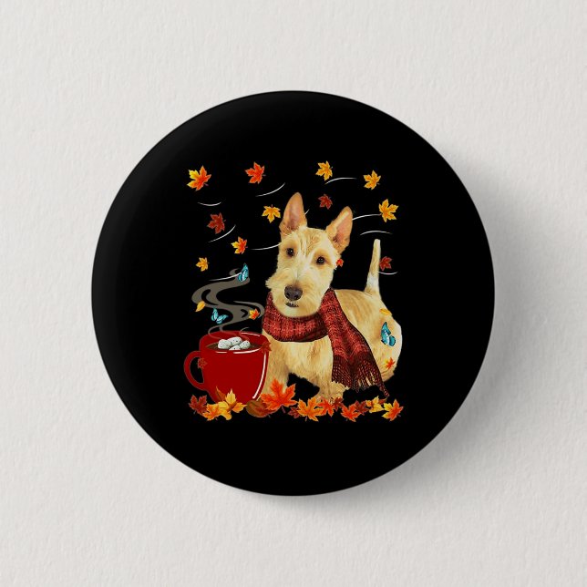Wheaten Scottish Terrier - Fall - Chocolate - Hett Knapp (Framsida)