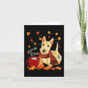 Wheaten Scottish Terrier - Fall - Chocolate - Hett Kort
