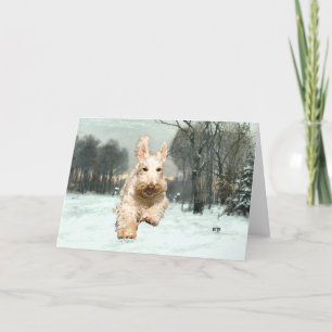 Wheaten Scottish Terrier Greeting Card Kort