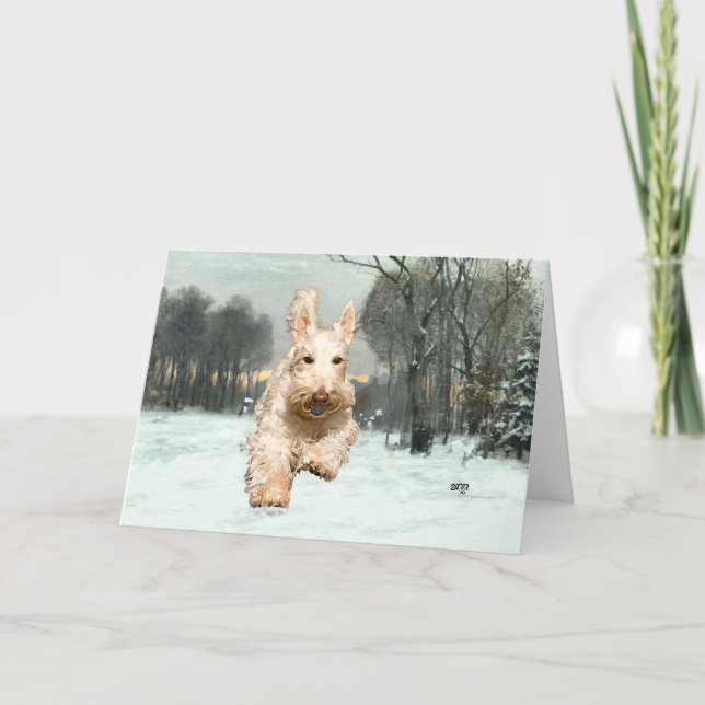 Wheaten Scottish Terrier Greeting Card Kort (Framsida)