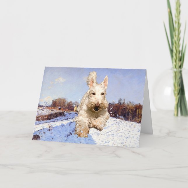 Wheaten Scottish Terrier Greeting Card Kort (Framsida)