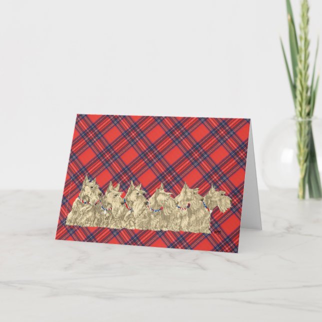 Wheaten Scottish Terrier Greeting Card Kort (Framsida)