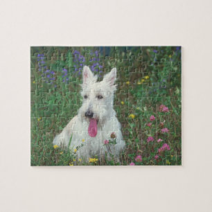 Wheaten skotskt Terrierhundpussel Pussel