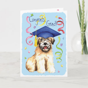 Wheaten Student Kort