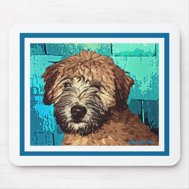 WHEATEN TERRIER: BLÖT PUPPY MUSMATTA (Framsidan)