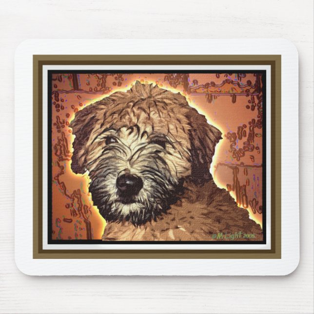 WHEATEN TERRIER: BLÖT PUPPY MUSMATTA (Framsidan)
