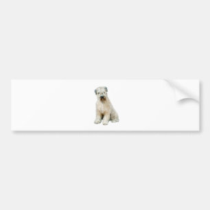 Wheaten Terrier (C) Bildekal