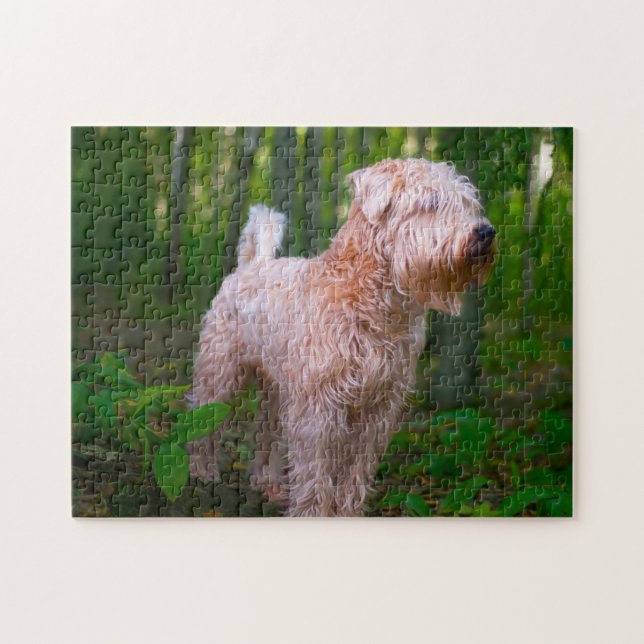 Wheaten Terrier Hund Jigsaws. Pussel (Horisontell)