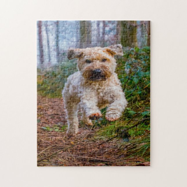 Wheaten Terrier Hund Pussel. Pussel (Vertikal)