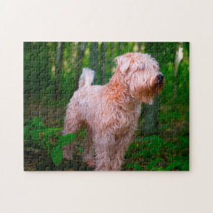 Wheaten Terrier Hund Pussel. Pussel