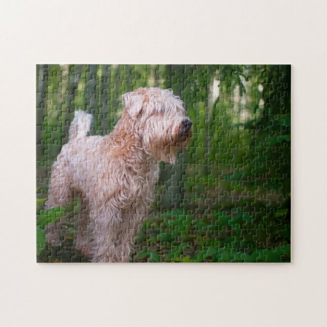 Wheaten Terrier Hund Pussel. Pussel (Horisontell)