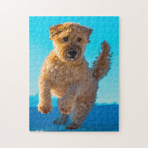 Wheaten Terrier Hund Pyssel. Pussel