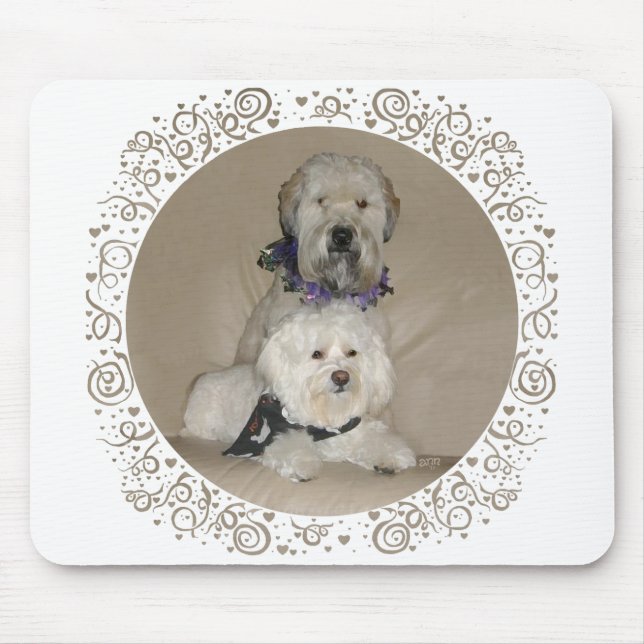 Wheaten Terrier och Havanese Musmatta (Framsidan)