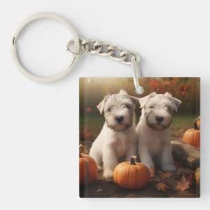 Wheaten Terrier Valp Höstglädje Pumpa