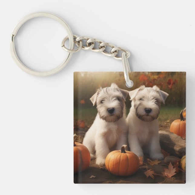Wheaten Terrier Valp Höstglädje Pumpa (Framsidan)
