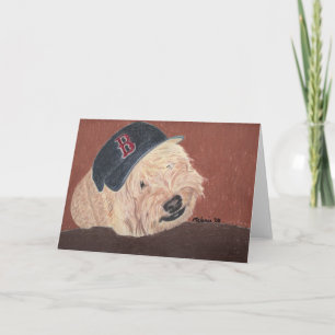 Wheaten Terrier - Wheatie Kort
