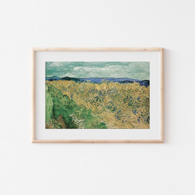 Wheatfield med kornblommor | Vincent van Gogh Poster (Skapare uppladdad)