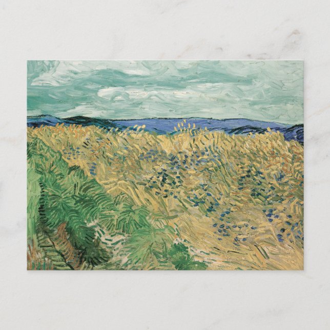Wheatfield med kornblommor | Vincent van Gogh Vykort (Framsida)