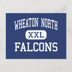 Wheaton North - Falcons - High Wheaton Illinois Vykort