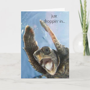 wheeeeeeeeesköldpadda, precis droppin i… kort