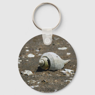 Whelk snäckan på stranden - nyckelring