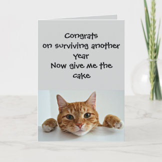 When the Cat Cares.. Just a Little –Funny Birthday Kort