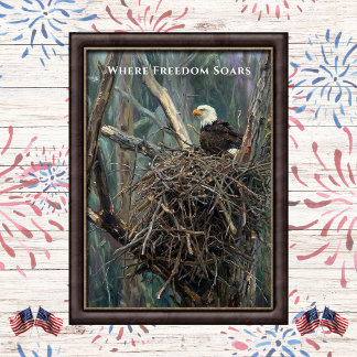 Where Freedom Soars Örnbo Art Poster