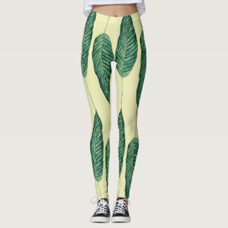 Where Is Wake Forest Leggings