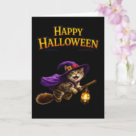 Which kitten soaring whim kort